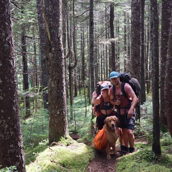 Meet your Posher, Zoe - Picture 1 of 1